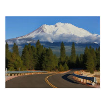 ROAD TO SHASTA POSTCARD