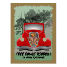 Roadkill Dinner Postcard