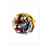 Roaring Tiger Postcard