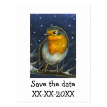 Robin in the snow postcards