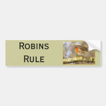 Robin on Branch Bumper Sticker