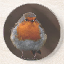 Robin Redbreast Coaster