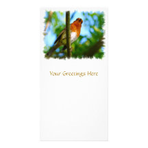 ROBINS PERSONALISED PHOTO CARD