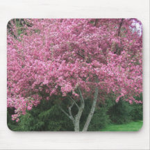 Robinsons Crabapple Pink Flowering Tree Mousepads