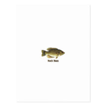 Rock Bass (titled) Post Cards