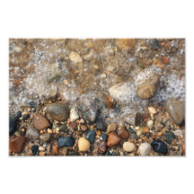 Rock Hounds Photographic Print