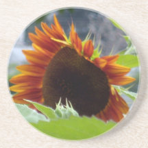 Rockport Red Sunflower Drink Coasters
