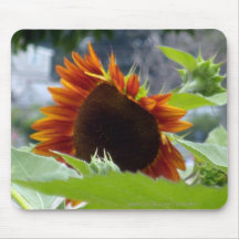 Rockport Red Sunflower Mouse Pad