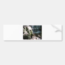 Rocks and Water Bumper Sticker