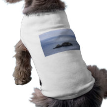 Rocks In The Sea Pet Tshirt