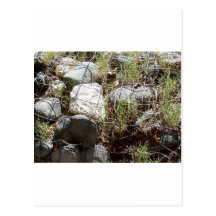 ROCKS STOP EROSION POSTCARD