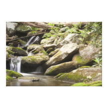 Rocky Creek 3 Stretched Canvas Print