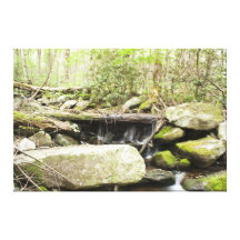 Rocky Creek 4 Gallery Wrap Canvas
