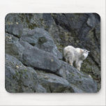 Rocky Mountain Goat In Rocks Mouse Pad