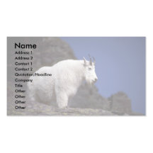 Rocky mountain goat (Large male) Business Card Template