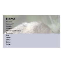 Rodent Business Card Template