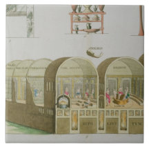 Roman Baths, plate from 'The History of the Nation Tile