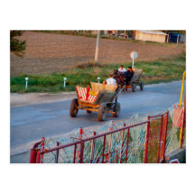 Romania, traditional transport, 2008 post card