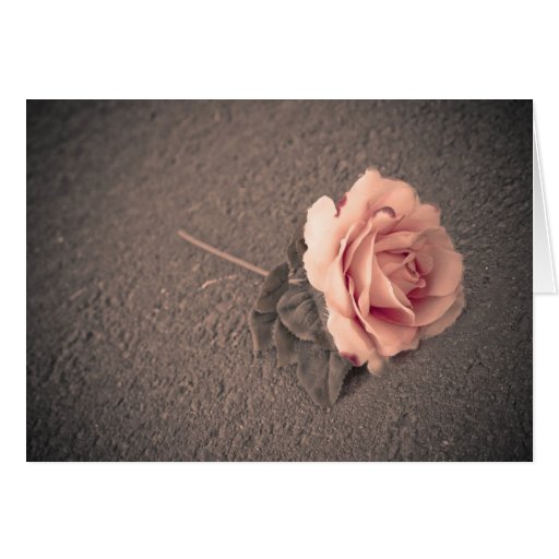 ROMANTIC PINK ROSE NOTE CARD