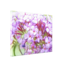 Romantic Purple Butterfly Bush Flowers Canvas Prints