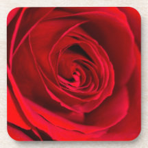 Romantic Red Rose Coaster