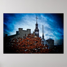 Rooftops of Old Quebec Poster