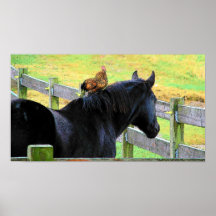 Rooster and Mare Print
