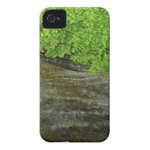 roots in irrigation cannal iPhone 4 cases