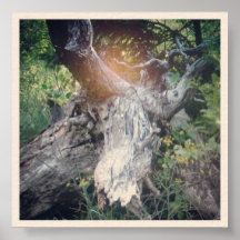 Roots Print