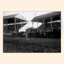 Roping tricks at a rodeo cards