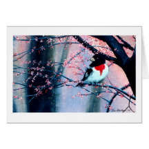 Rose breasted Grosbeak Greeting Card
