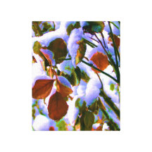Rose Bush Surprise Canvas Print