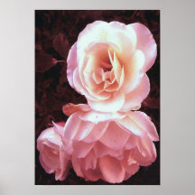 Rose Canvas Print