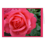 Rose Cards Pink Flowers Custom Greeting Card