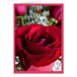 Rose Cards Red Flowers Custom Greeting Card
