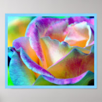 Rose Colour Illusions Print posters