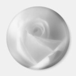 Rose in Black and White Magnet