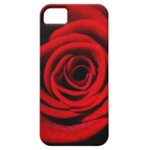 Rose iPhone 5 Cases