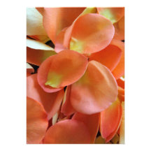 Rose Petals Custom Invitations