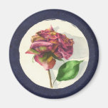 Rose Pondering Retirement Magnet