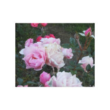 Rose Series I Gallery Wrapped Canvas