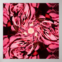 Rose Swirl Jan 2013 Poster