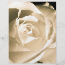 Rose White Flyer Design