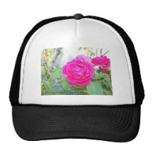 roses hats