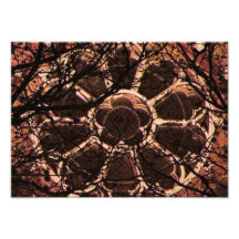 Rosetta Window Art Photo