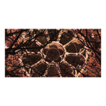 Rosetta Window Photo Card Template
