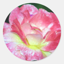 Rosey Round Stickers