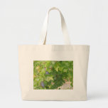Rotta Dry Farmed Grapes on the Vine Canvas Bags