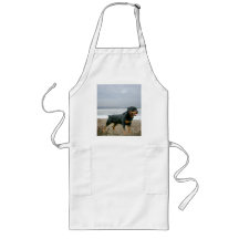 Rottweiler Apron Beach
