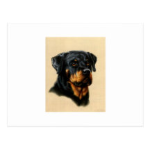 Rottweiler Postcards